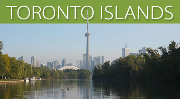Thumbnail for Toronto Islands stock footage collection with view of CN Tower and skyline viewed from the islands during summer